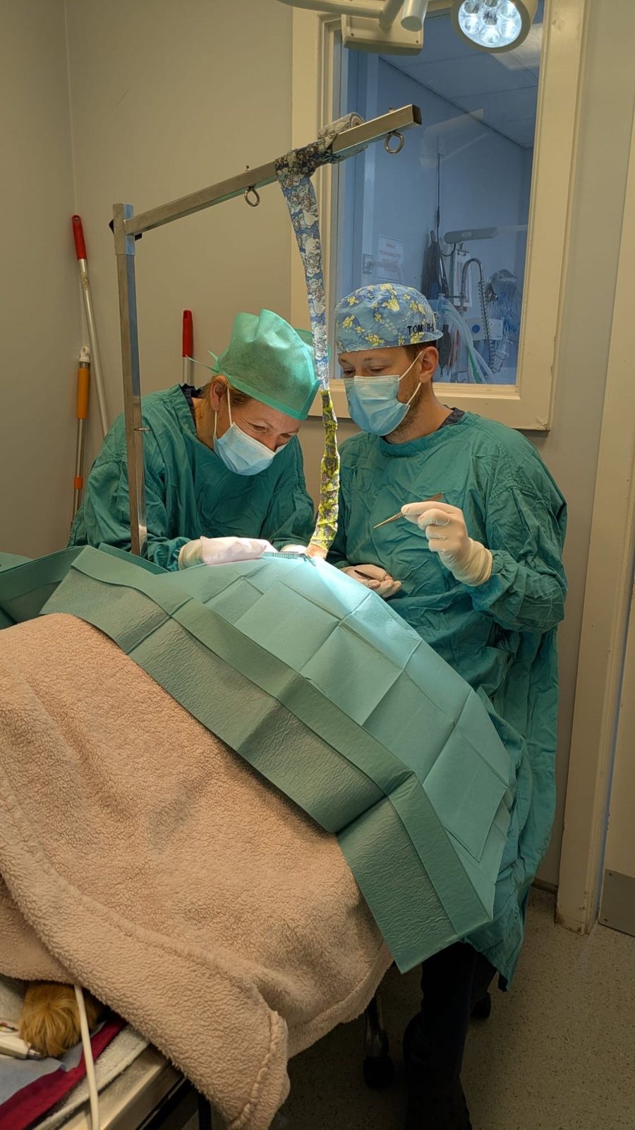 Tom and Sonia operating together in theatre