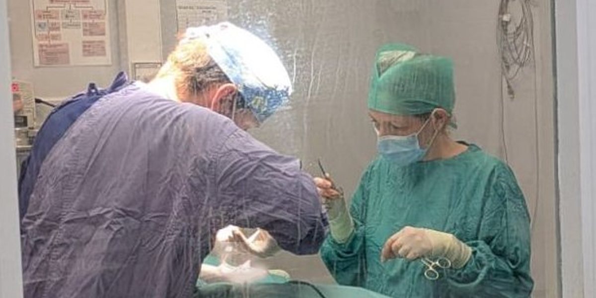 Tom and Sonia operating together, seen through the theatre window