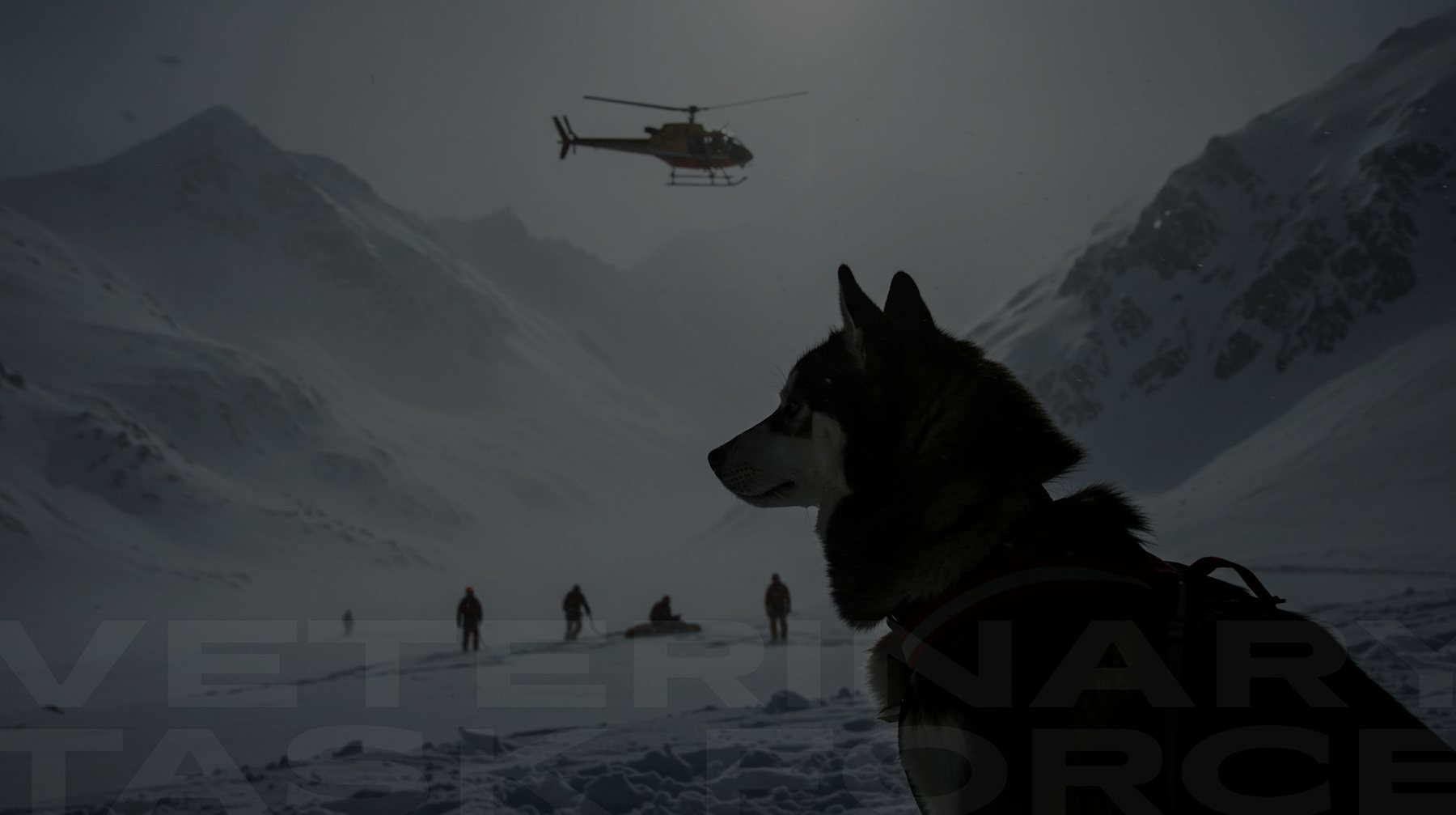 A working dog silhouetted in the snow, with a helicopter and a team on foot behind